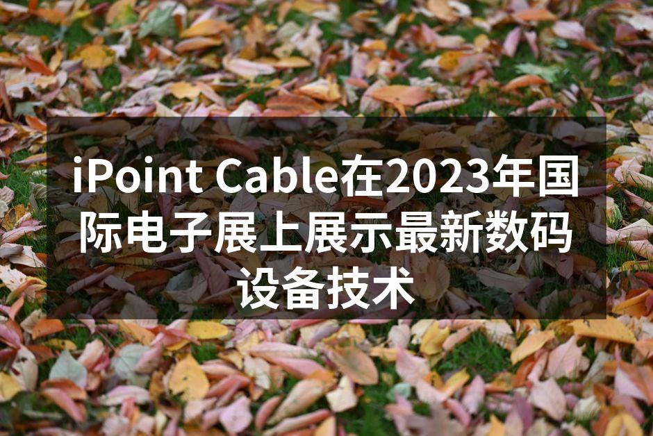 iPoint Cable展台前的热闹场景
