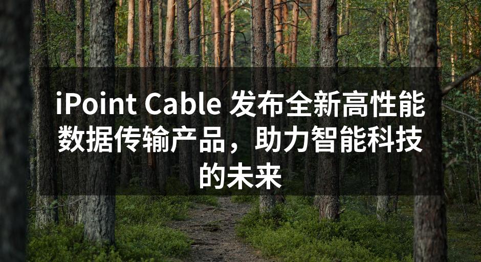 iPoint Cable 新产品发布会现场